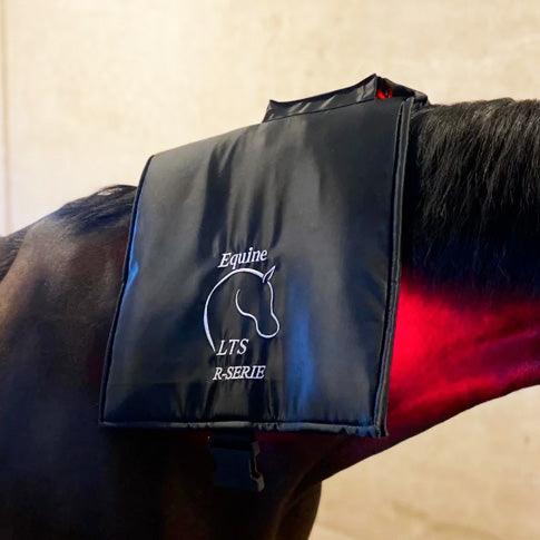 Equine LTS R Serie Mini Pro - Effektiv hesteterapi