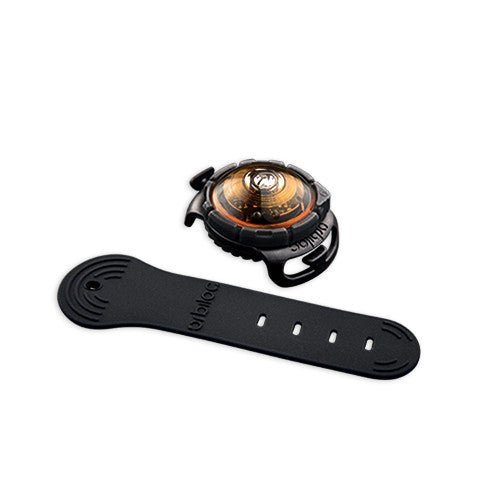 Orbiloc Dog Dual   Amber