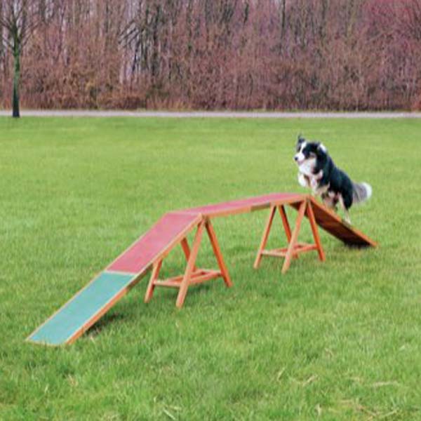 Agility Trappe   Dogwalk