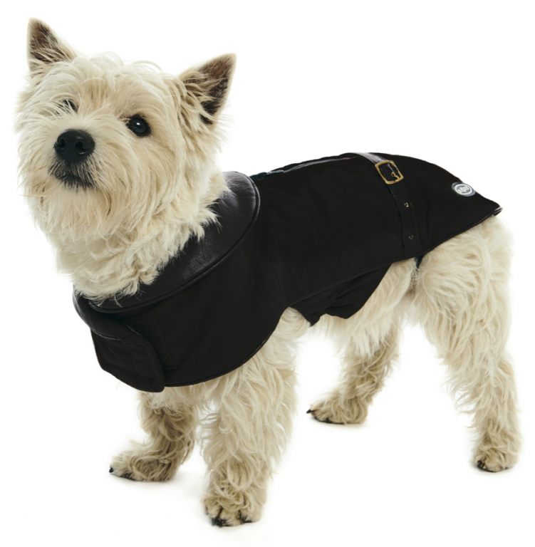 Buster City Hund Jakke  Sort Xs