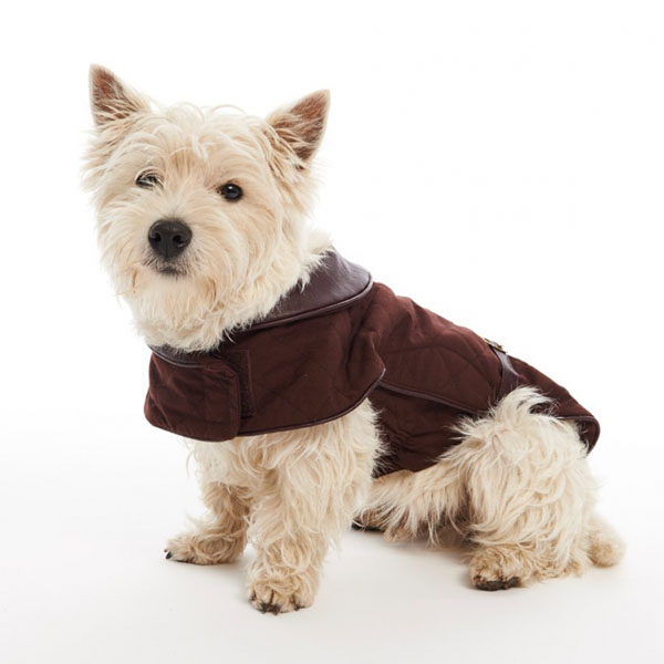 Buster City Jakke  Chocolate M L