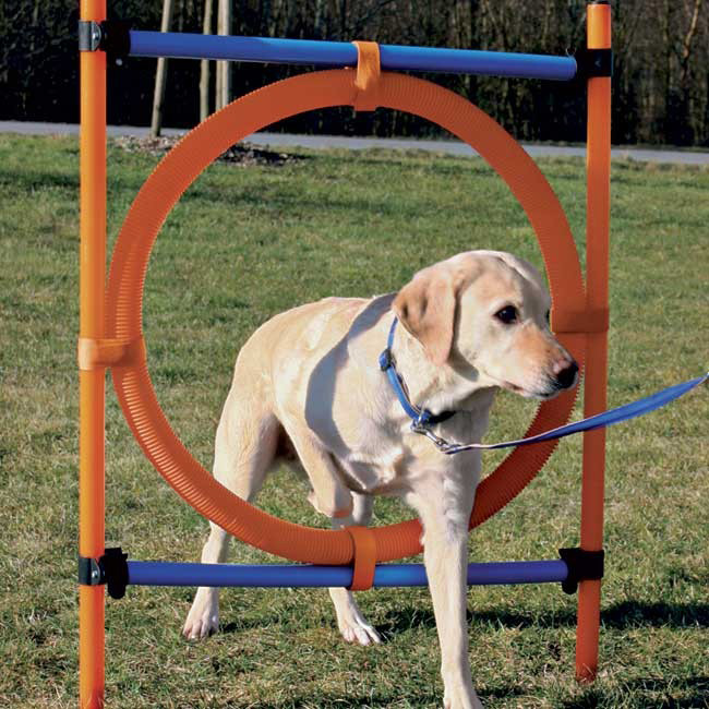 Agility Ring til Hunde - Justerbar til Træning