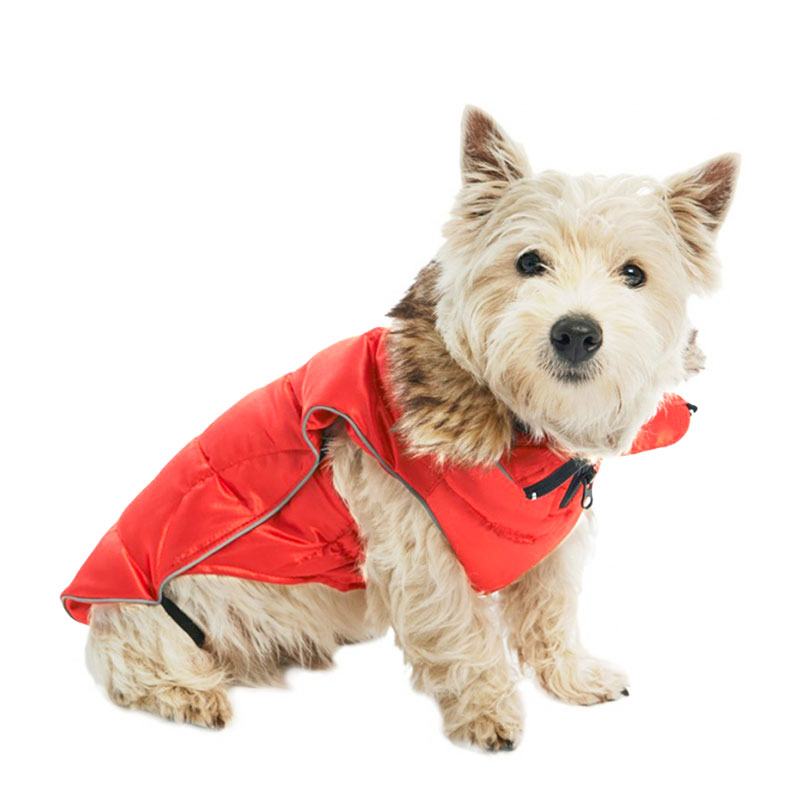 Buster Active Vinterjakke - High Risk Red til hunde