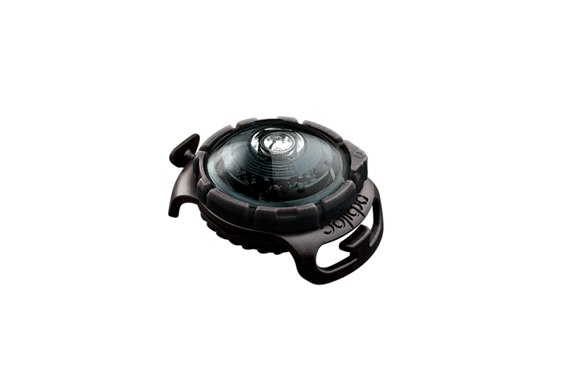 Orbiloc Dog Dual Dark - Cool lys til din hunds udstyr